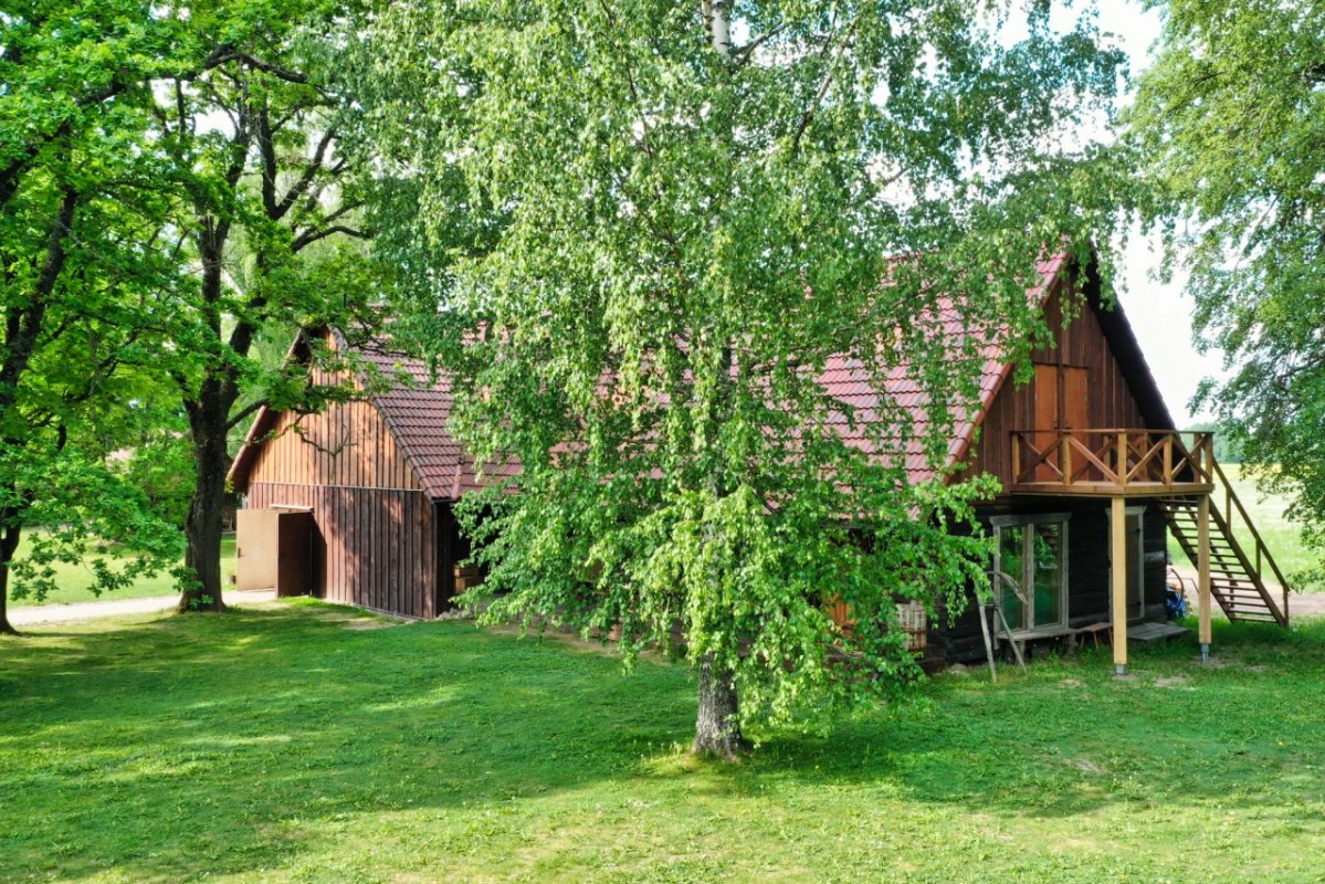 maeotsa pulmakyyn pulm maeotsa pulmakyyn pulm